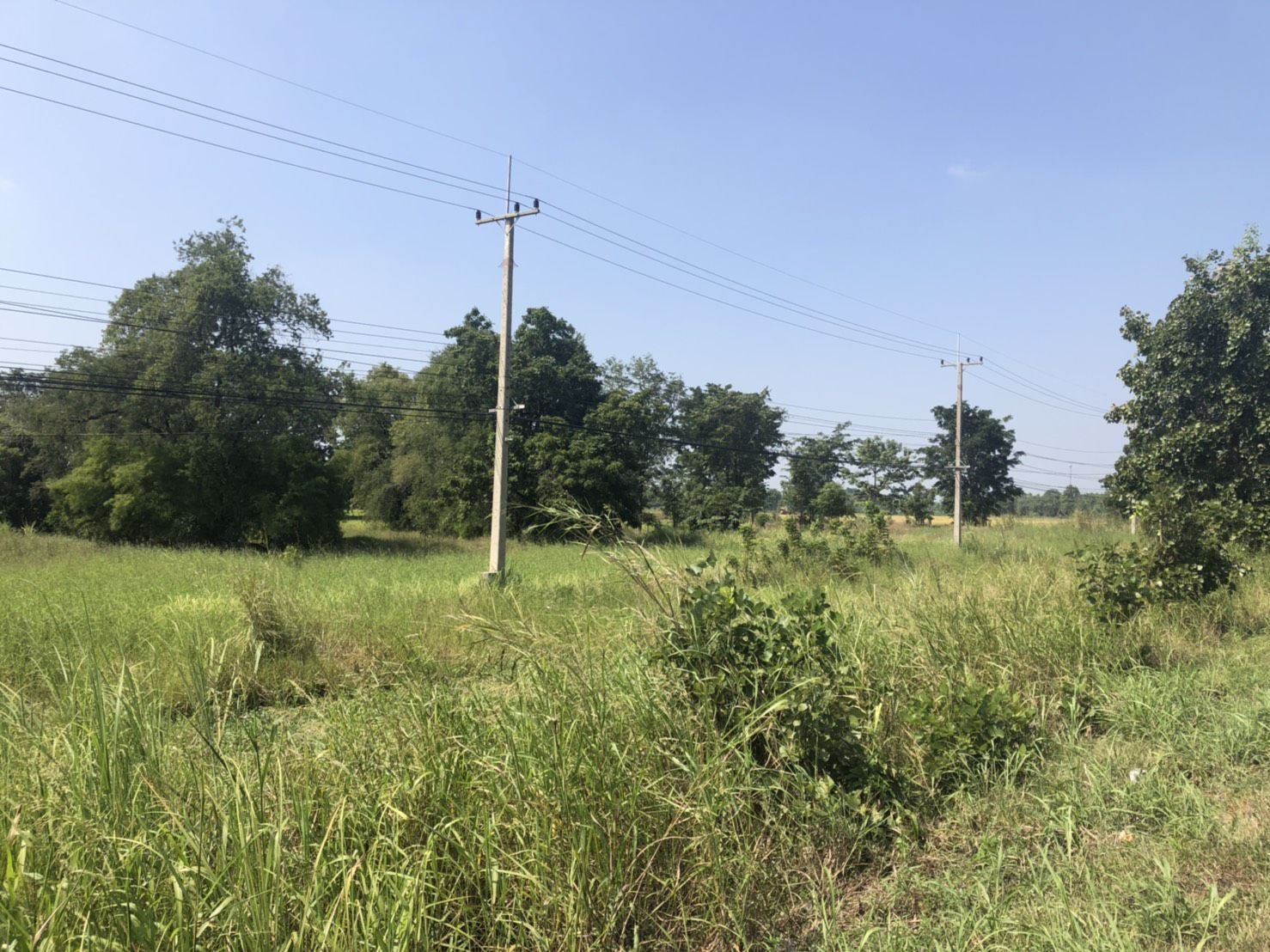 ขายที่ดินทำเลทอง-ติดถนนสายเอเซีย-หนองกระโดน-นครสวรรค์