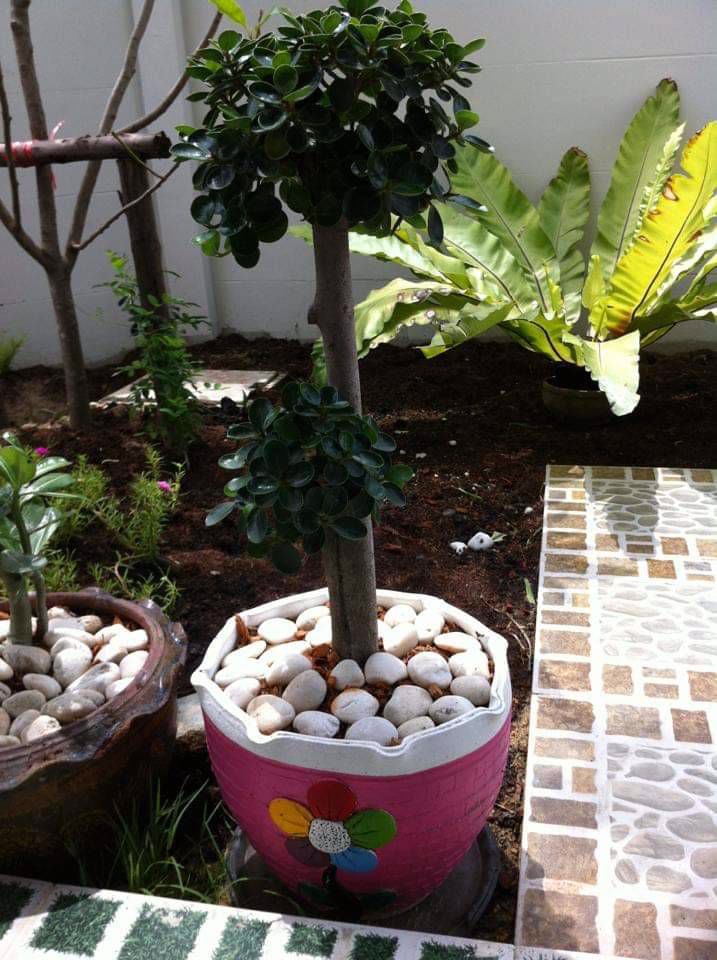 ขายบ้านทาวน์โฮม-2-ชั้น-หลังริมหน้าซอย-หมู่บ้านไอดีไซน์-วงแหวนรามอินทรา-คลองสามวา-กรุงเทพ