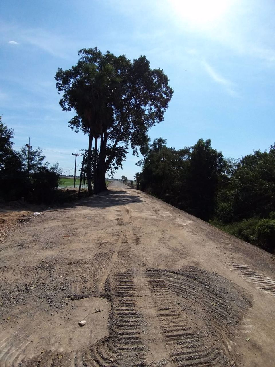 ขายที่ดินทำเลสวย-ชุมทางคลองสิบเก้า-บางน้ำเปรี้ยว-ฉะเชิงเทรา