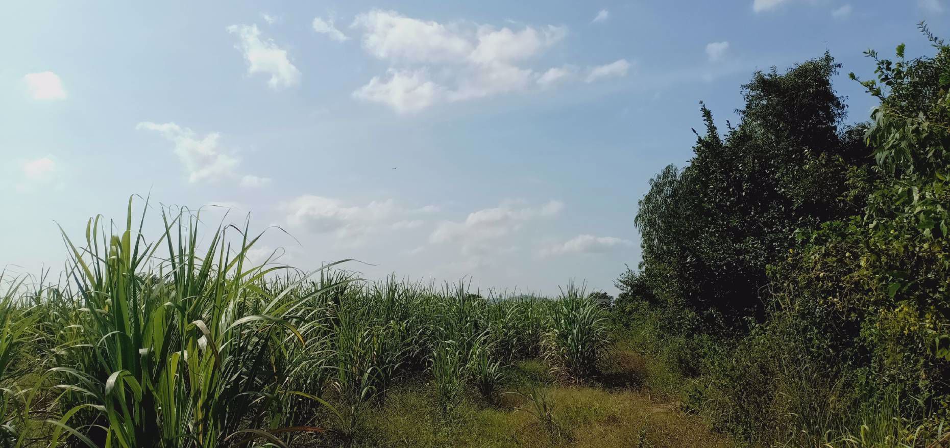 ขายที่ดิน-ทำเลสวยวิวดี-บ้านไร่-อุทัยธานี