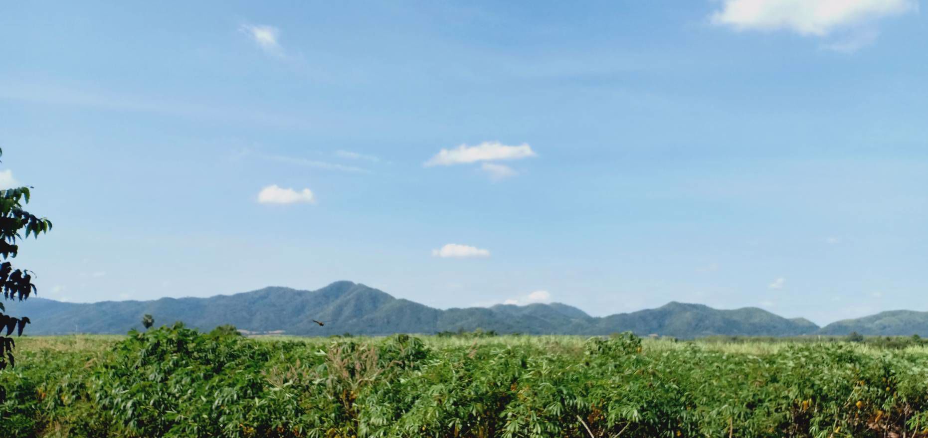 ขายที่ดิน-ทำเลสวยวิวดี-บ้านไร่-อุทัยธานี