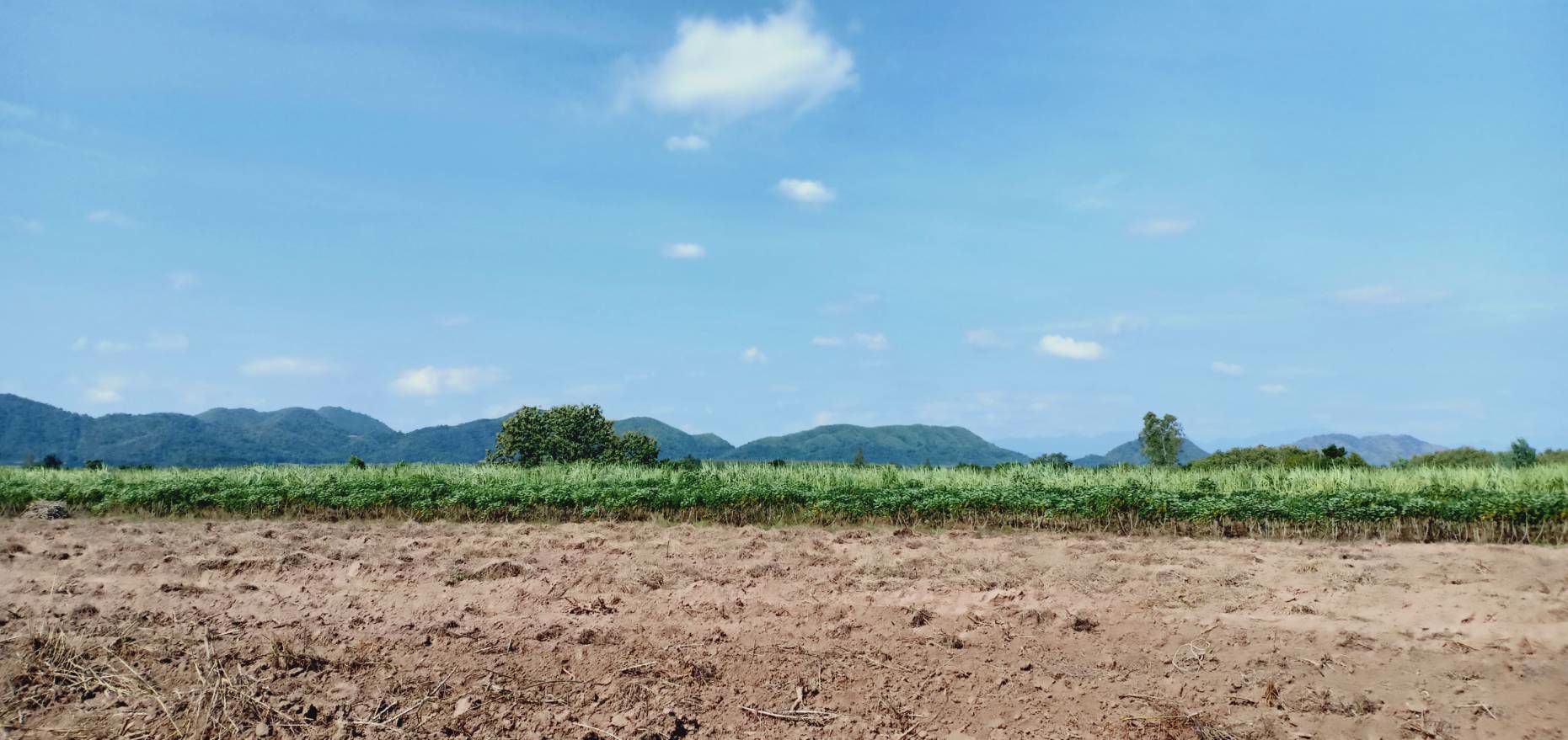 ขายที่ดิน-ทำเลสวยวิวดี-บ้านไร่-อุทัยธานี