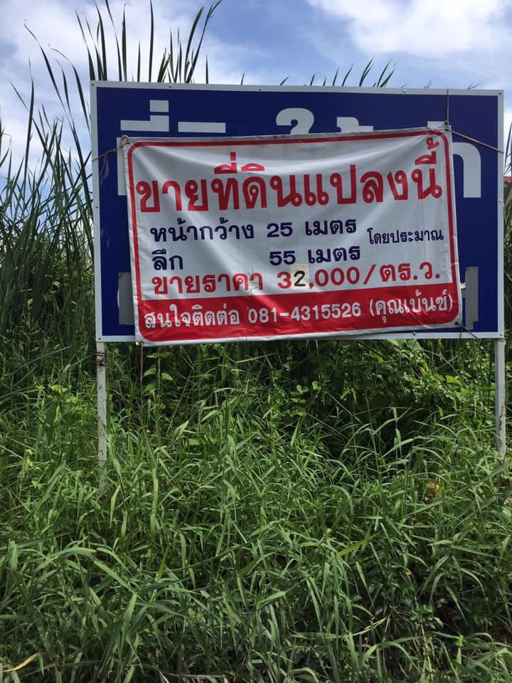 ขายที่ดิน-เฉลิมพระเกียรติ-30-แยก23-ประเวศ-กรุงเทพฯ
