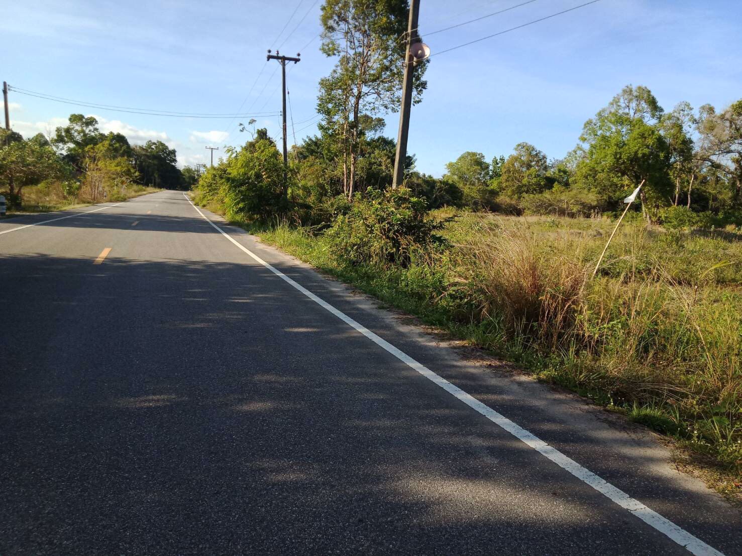 ขาย-ที่ดินทำเลสวย-ติดถนน-ติดทะเล-ละแม-ชุมพร-beach-front-land-in-sale-lamae-chumporn