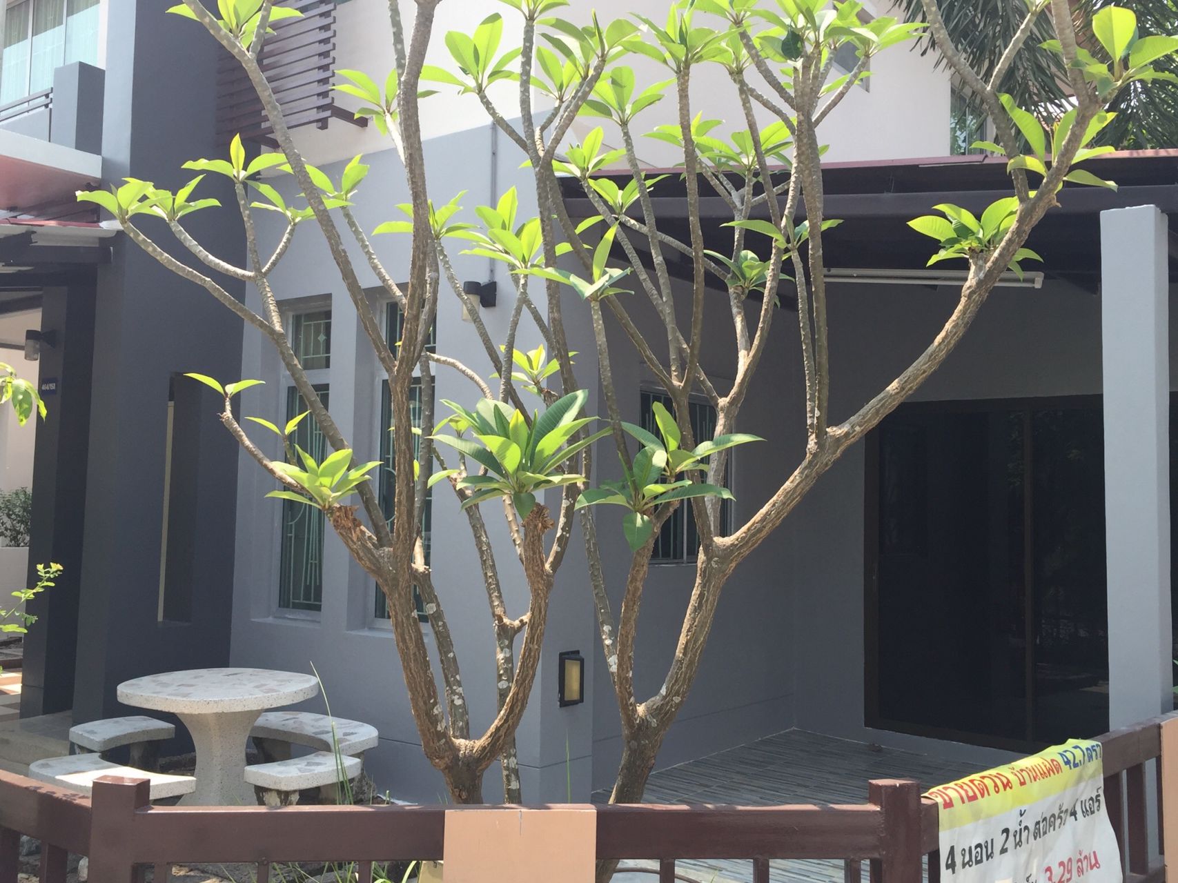 ขาย-เช่า-บ้านแฝด-โครงการ-พร้อมพัฒน์กรีนโนวา-โครงการแสนสิริ-แปลงหัวมุม-น้ำไม่ท่วม-คลองสามวา-รามอิ