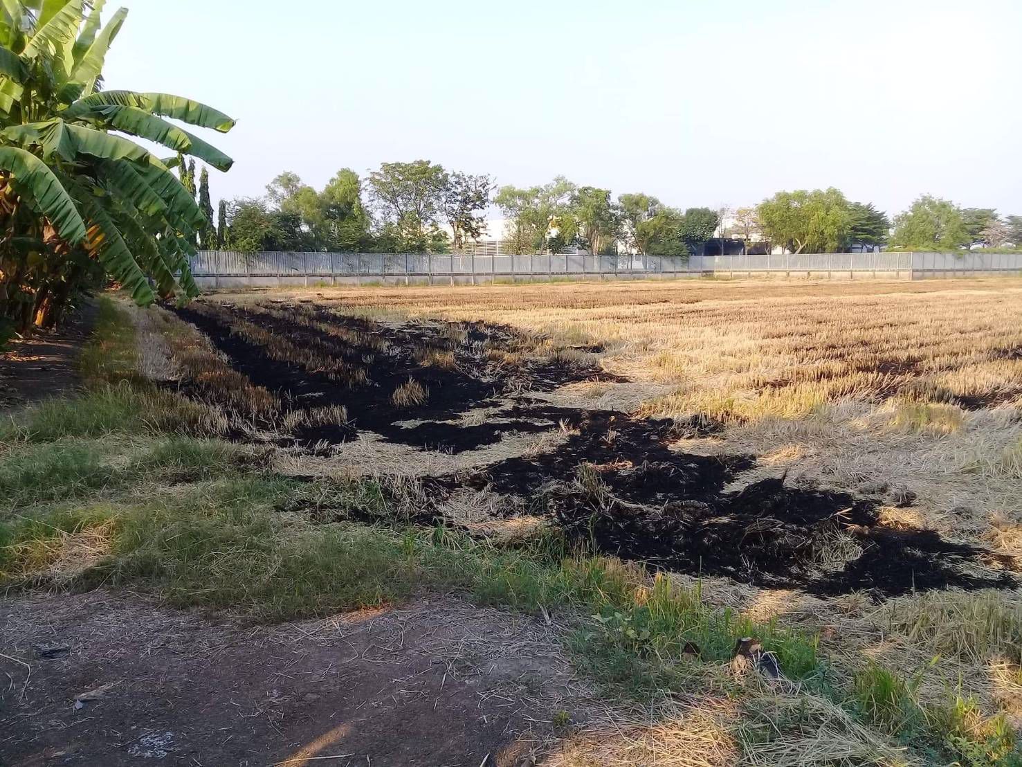 ขายที่ดิน-ติดถนนใหญ่-เส้น-347-ปทุมธานี