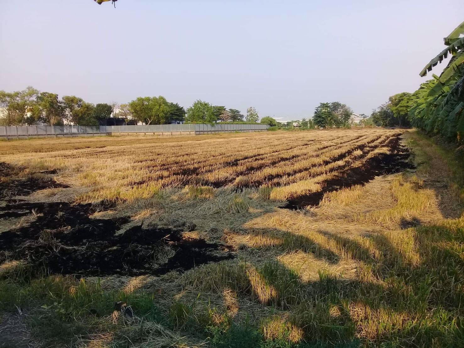 ขายที่ดิน-ติดถนนใหญ่-เส้น-347-ปทุมธานี