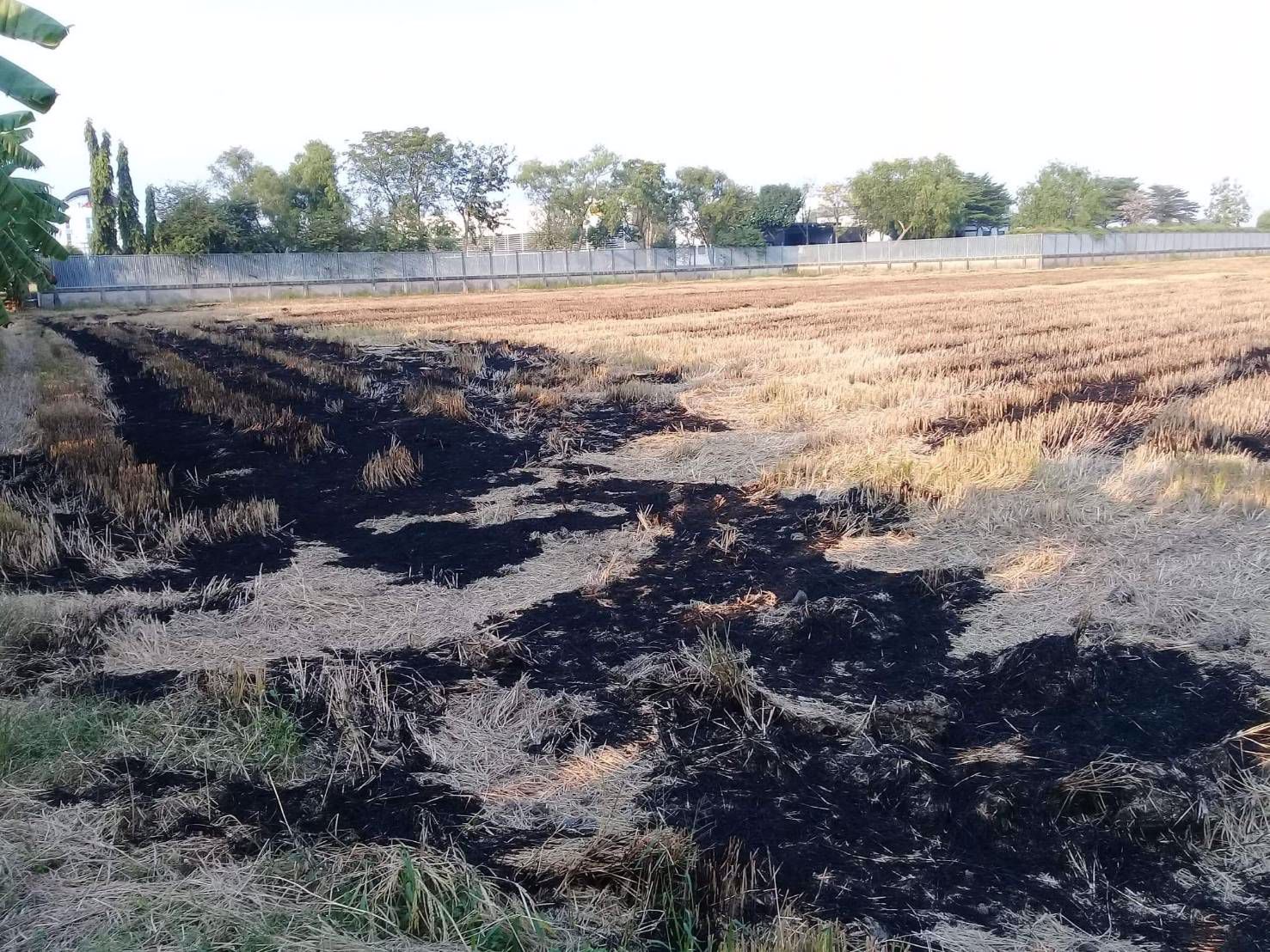 ขายที่ดิน-ติดถนนใหญ่-เส้น-347-ปทุมธานี