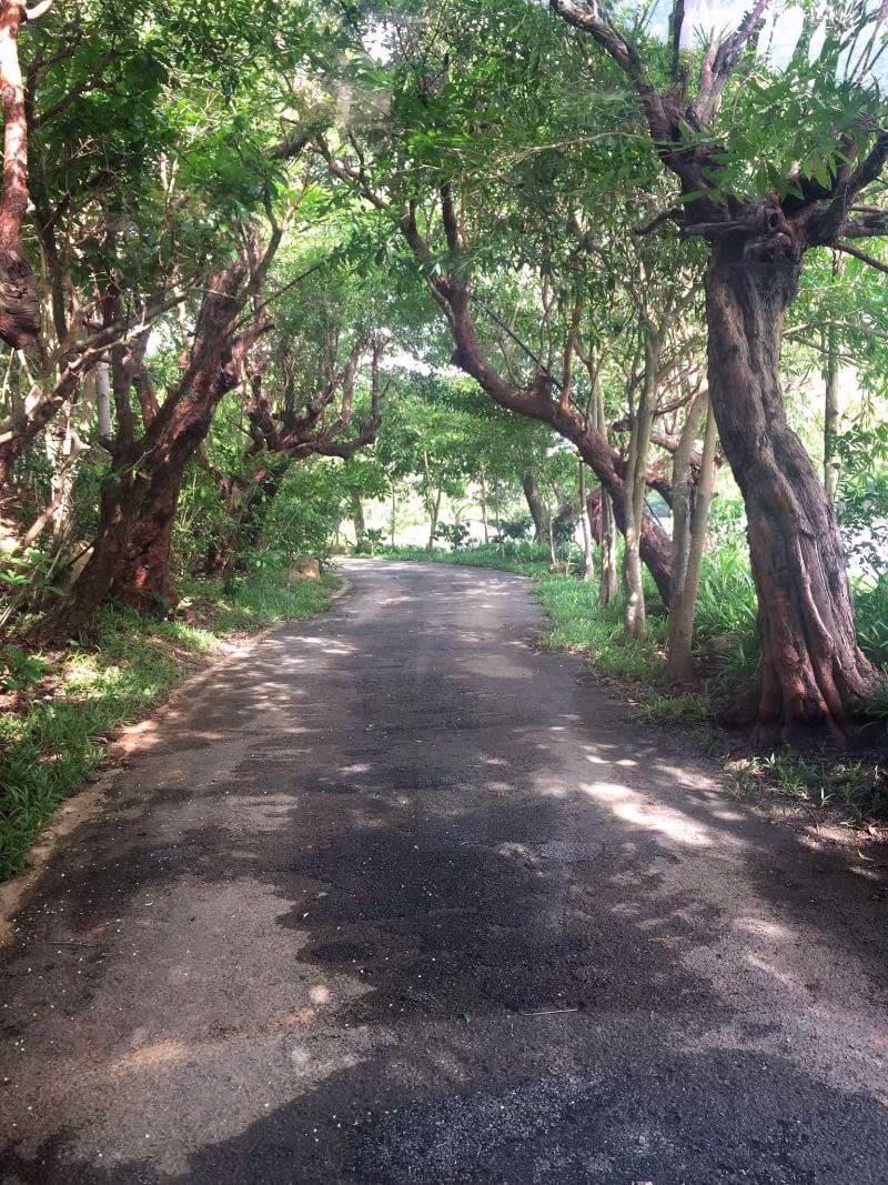 ขายคอนโด-swan-lake-khaoyai-วิวทะเลสาบ-ปากช่อง-นครราชสีมา