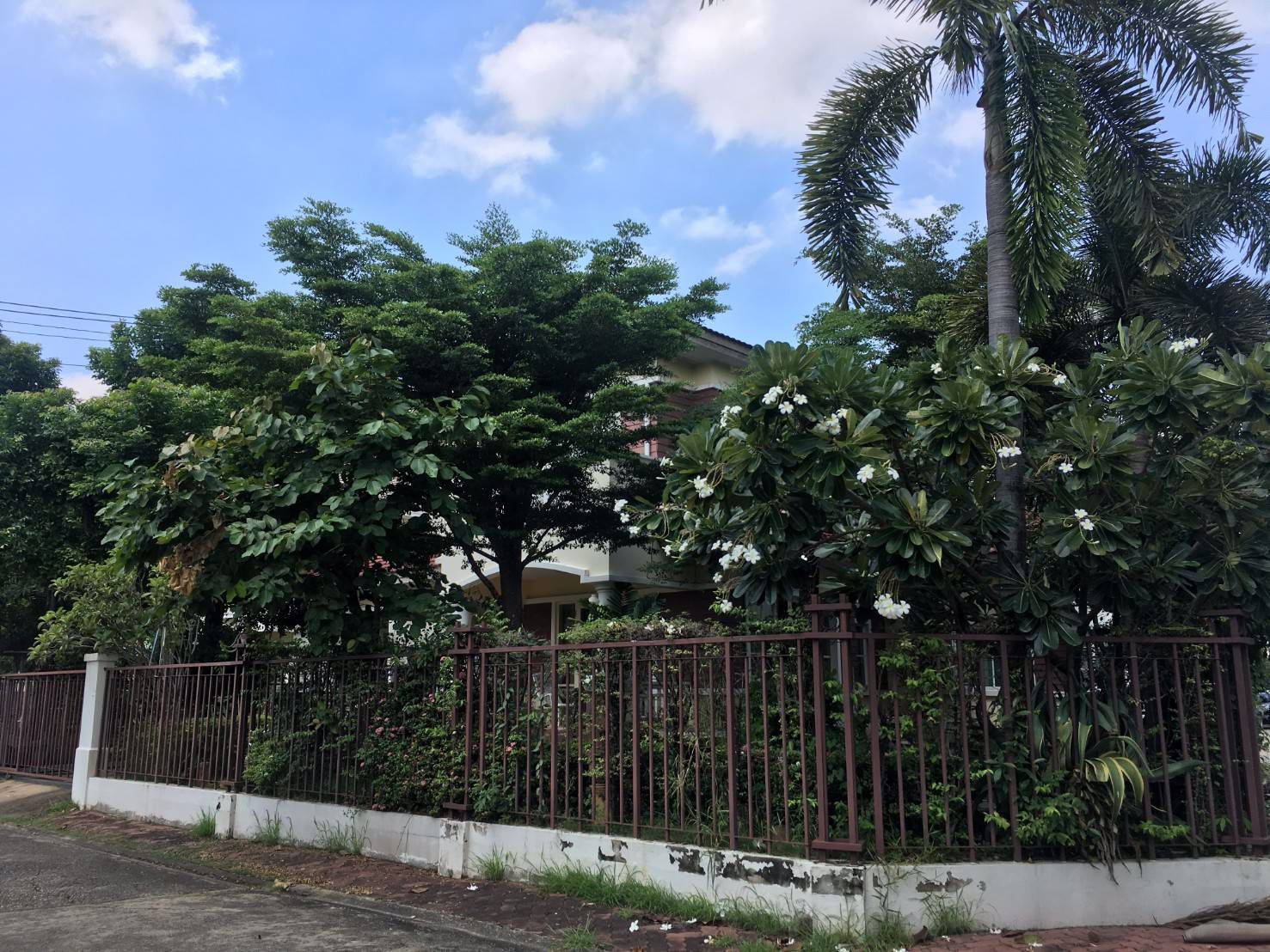 ขาย-ด่วน-บ้านเดี่ยว-สวยพร้อมอยู่-โครงการปาริชาต-ถนน-345-ทำเลดีติดถนนใหญ่-ปทุมธานี