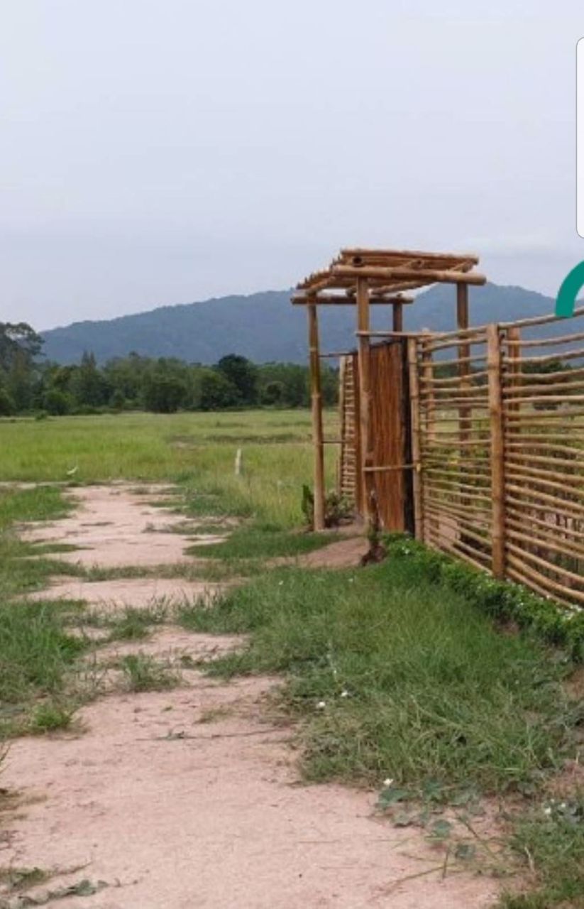 ขายที่ดิน-100-ตรว-ทำเลสวย-ซอยวังน้ำสามัคคี-ใกล้โรงเรียนเตรียมทหาร-บ้านนา-นครนายก