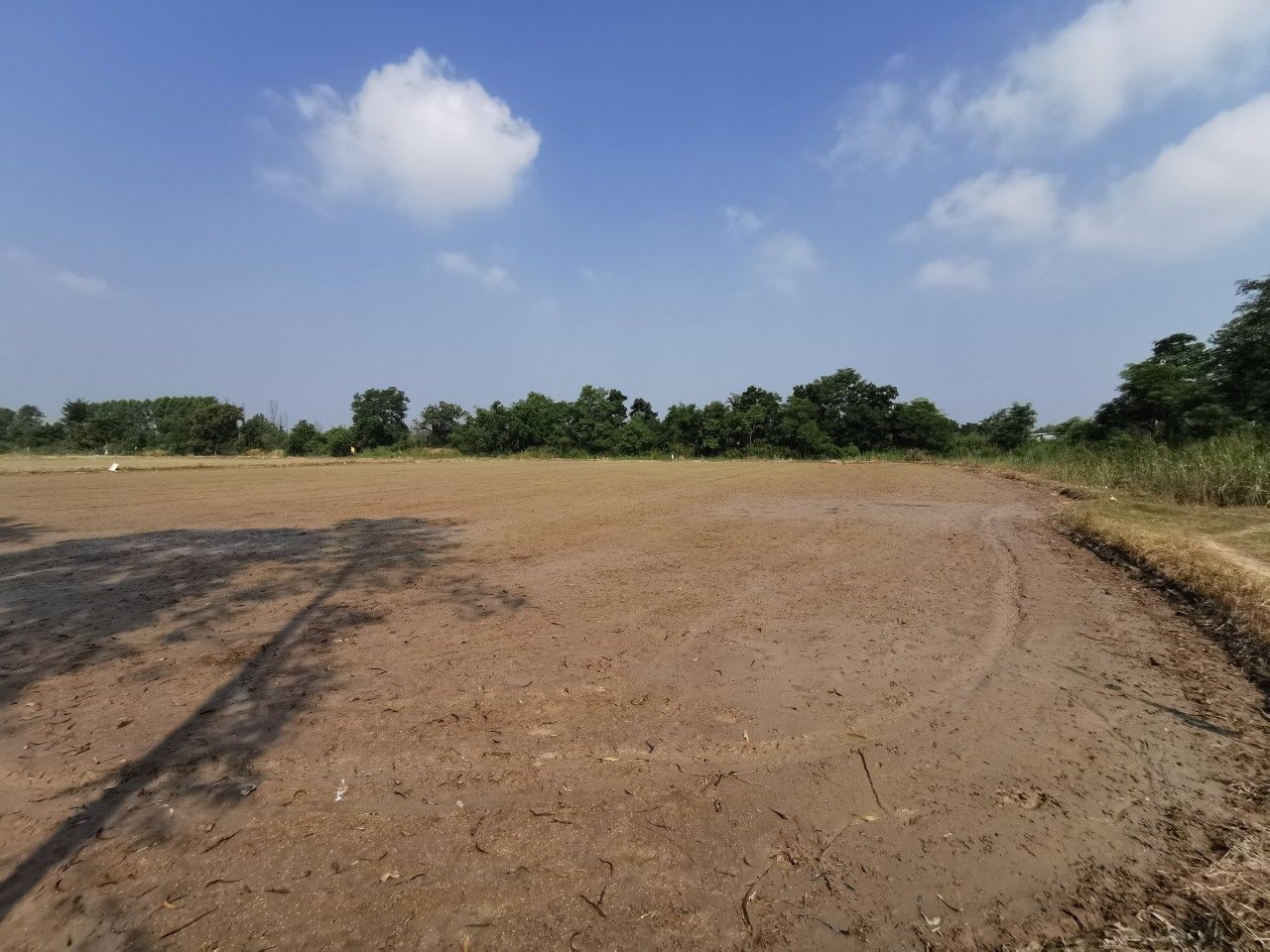 ขาย-ที่ดิน-ติดถนนใหญ่-ขาเข้าตัวเมือง-อยู่ตรงข้าม-วิทยาลัยพลศึกษาจังหวัดสุโขทัย