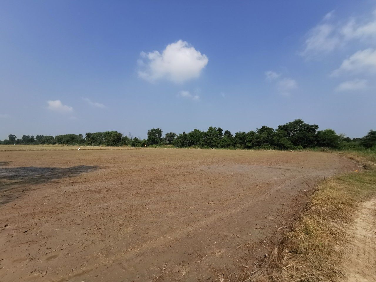 ขาย-ที่ดิน-ติดถนนใหญ่-ขาเข้าตัวเมือง-อยู่ตรงข้าม-วิทยาลัยพลศึกษาจังหวัดสุโขทัย