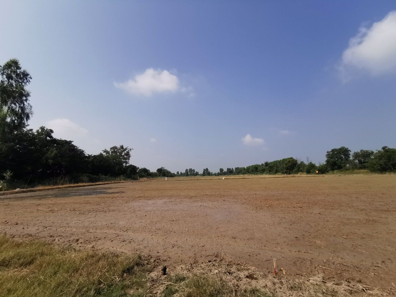 ขาย-ที่ดิน-ติดถนนใหญ่-ขาเข้าตัวเมือง-อยู่ตรงข้าม-วิทยาลัยพลศึกษาจังหวัดสุโขทัย