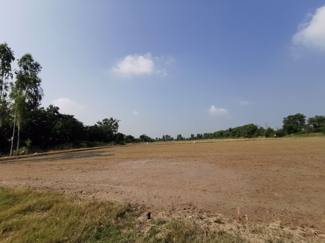 ขาย-ที่ดิน-ติดถนนใหญ่-ขาเข้าตัวเมือง-อยู่ตรงข้าม-วิทยาลัยพลศึกษาจังหวัดสุโขทัย