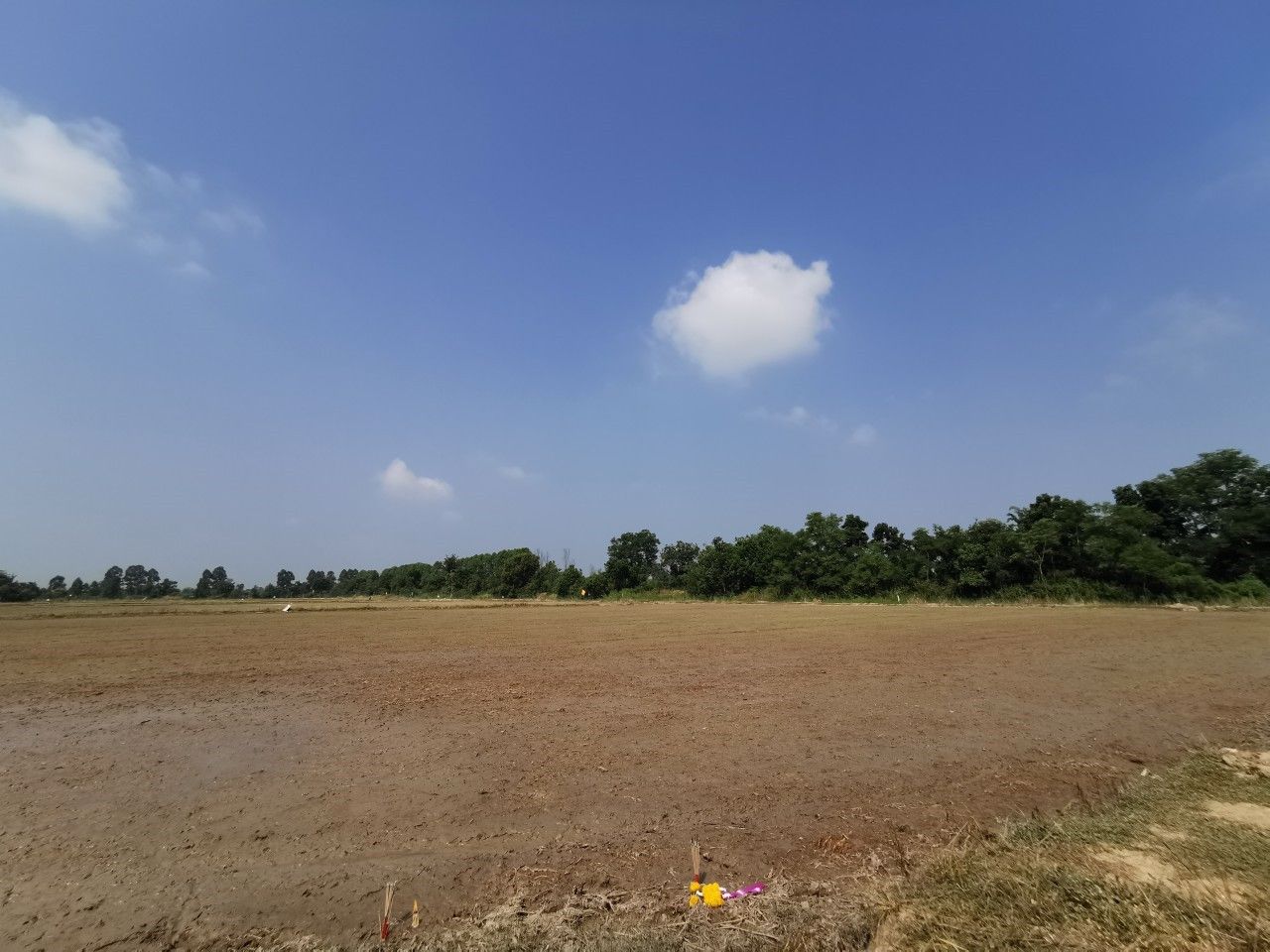 ขาย-ที่ดิน-ติดถนนใหญ่-ขาเข้าตัวเมือง-อยู่ตรงข้าม-วิทยาลัยพลศึกษาจังหวัดสุโขทัย