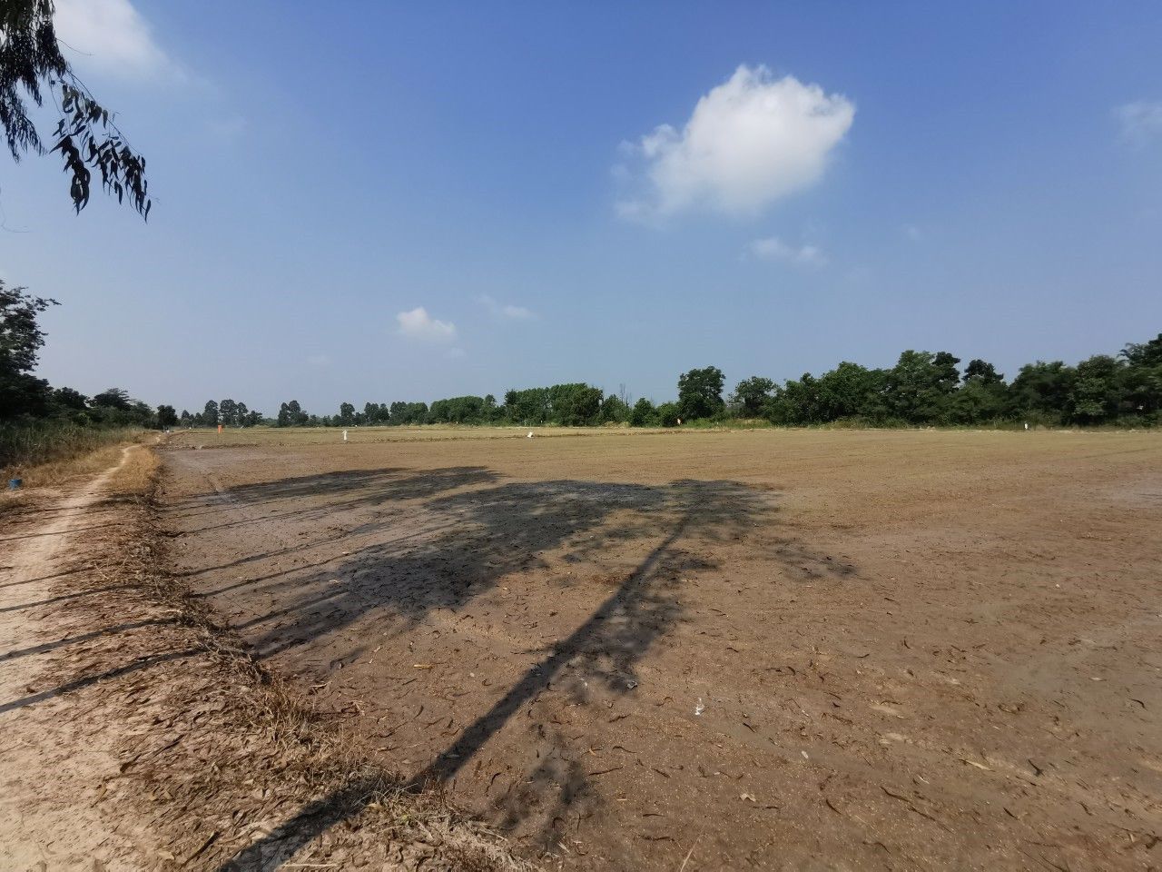 ขาย-ที่ดิน-ติดถนนใหญ่-ขาเข้าตัวเมือง-อยู่ตรงข้าม-วิทยาลัยพลศึกษาจังหวัดสุโขทัย