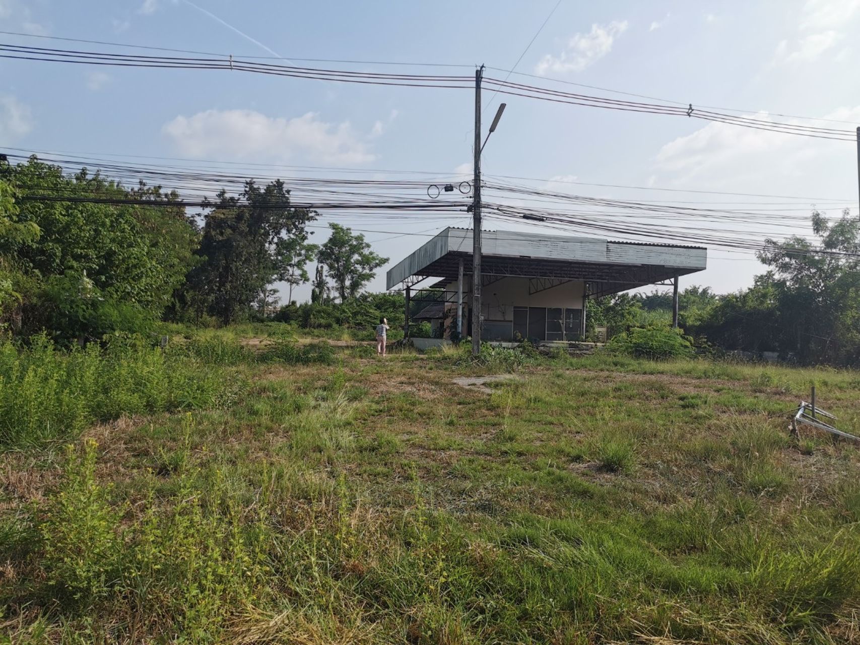 ขาย-ที่ดิน-เนื้อที่-6-ไร่-98-ตารางวา-ศรีสัชนาลัย-สุโขทัย