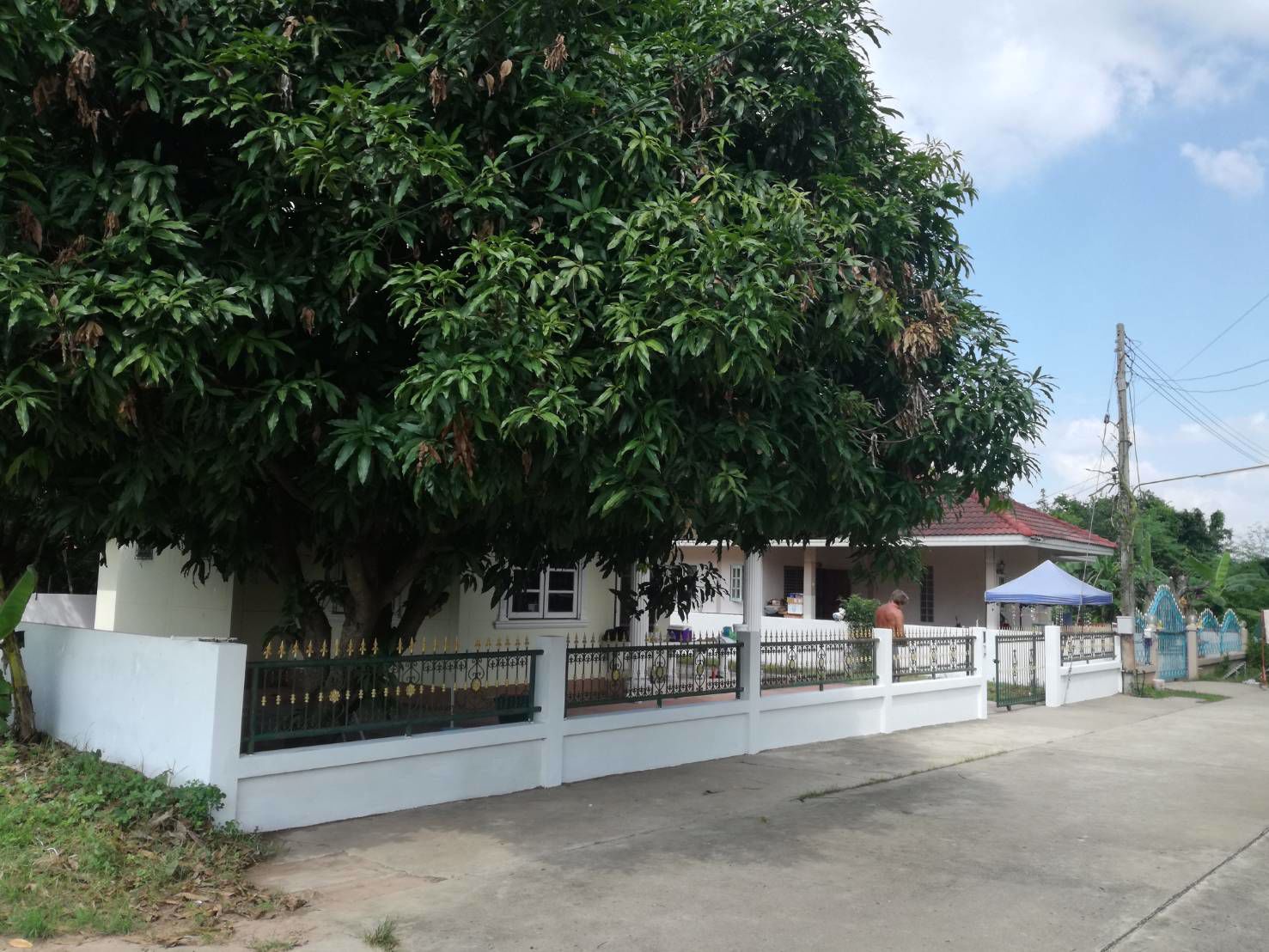 ขาย-บ้านเดี่ยว-ชั้นเดียว-อำเภอสูงเนิน-นครราชสีมา