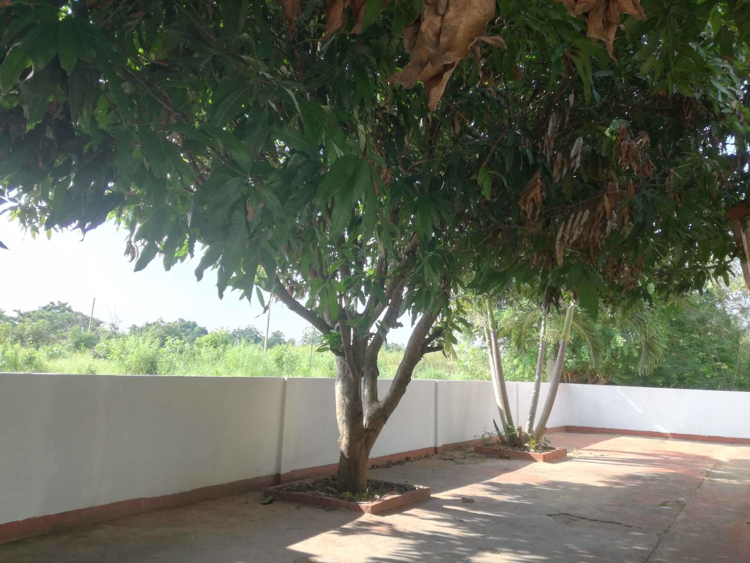 ขาย-บ้านเดี่ยว-ชั้นเดียว-อำเภอสูงเนิน-นครราชสีมา