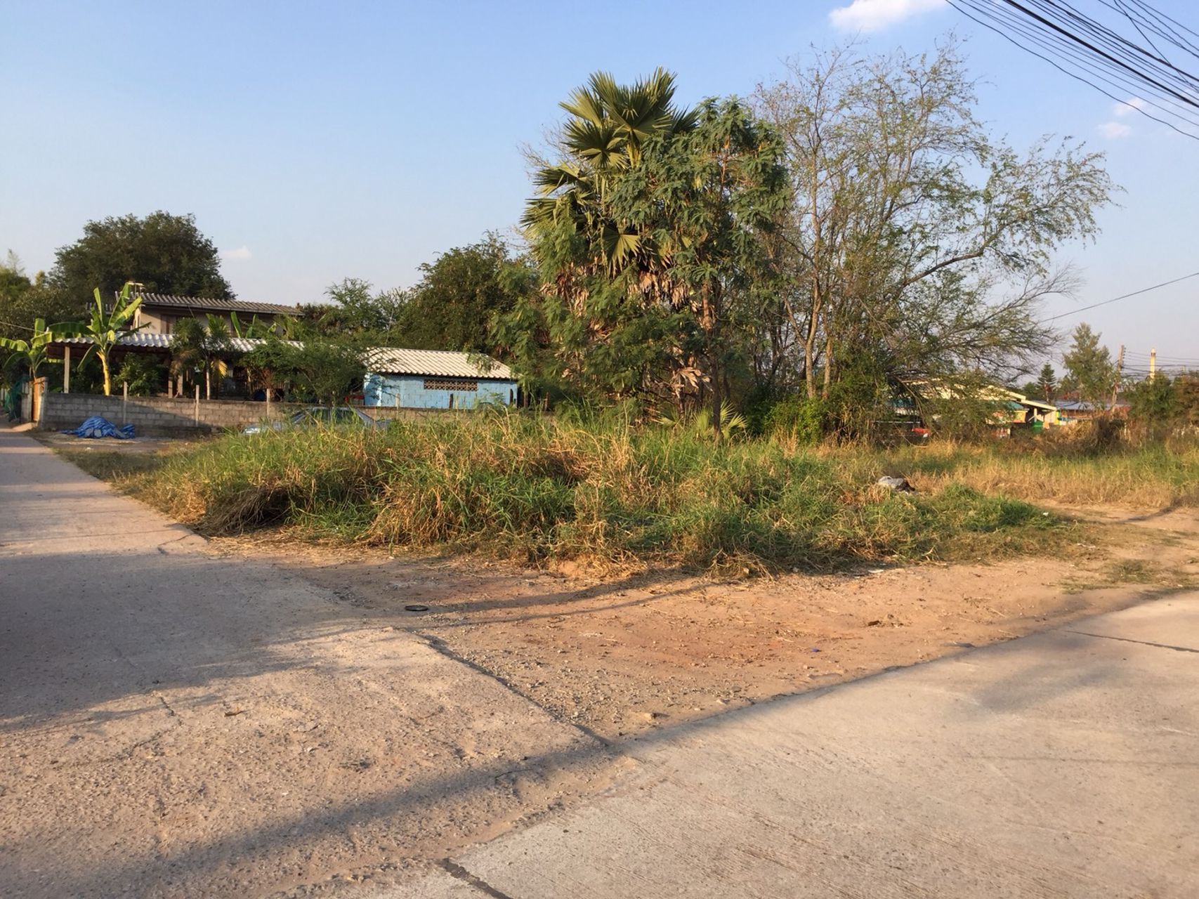 ขายที่ดิน-ทำเลดี-ที่หัวมุม-ถนนเลียบคลองชลประทานสุระนารี-2-อำเภอเมืองนครราชสีมา