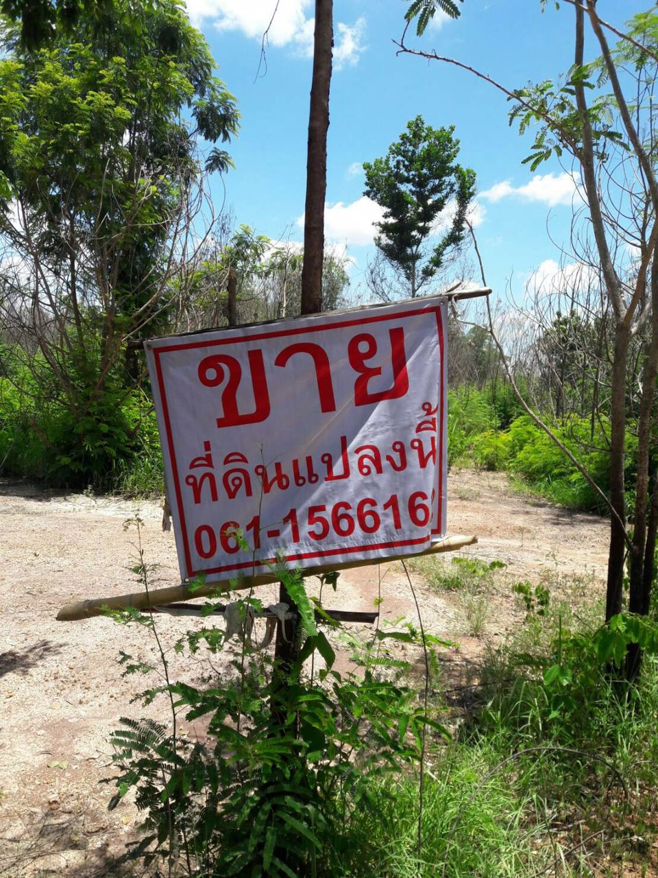 ขายที่ีดิน-ทำเลสวย-ติดศูนย์ราชการจังหวัดหนองบัวลำภู-มีโฉนด-5-ไร่