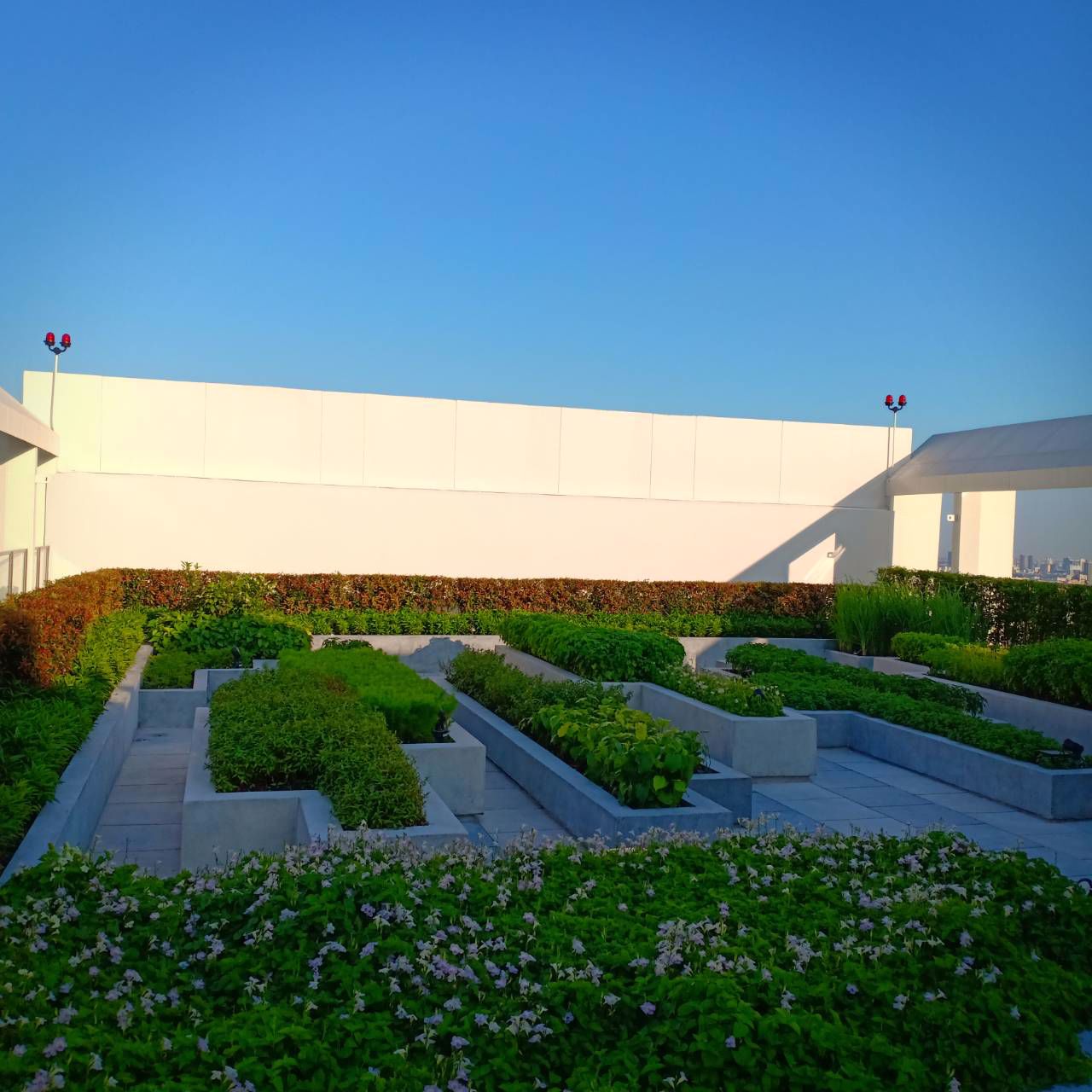 ขายดาวน์-คอนโด-the-line-พหล-ประดิพัทธ์-ชั้น-36-วิวสูง-พญาไท-กรุงเทพมหานคร