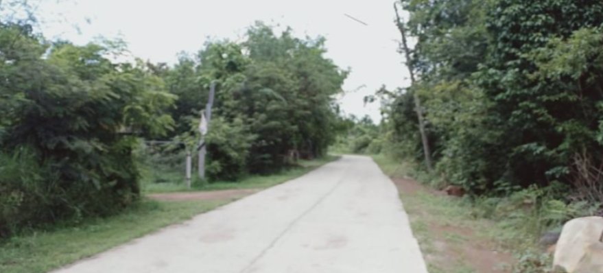 ขายที่ดิน200-ตรว-ราคา150000บาท-ผ่อนวัน100บาท-