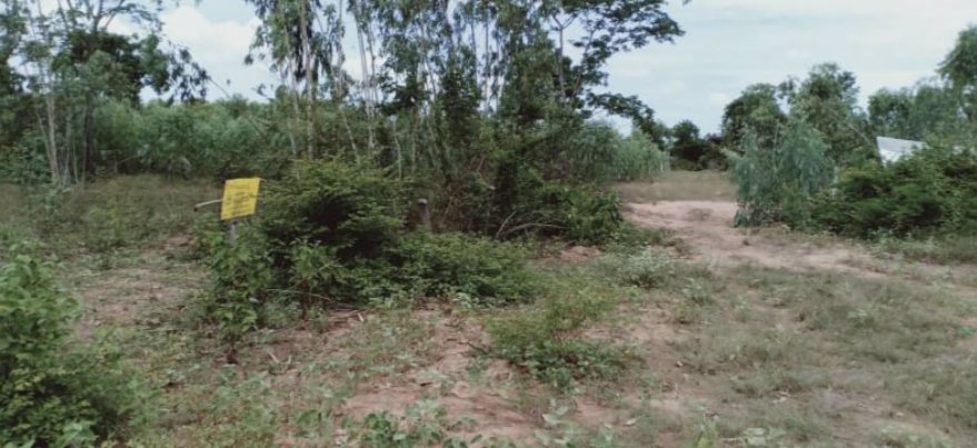 ขายที่ดิน200-ตรว-ราคา150000บาท-ผ่อนวัน100บาท-