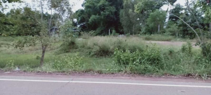 ขายที่ดิน200-ตรว-ราคา150000บาท-ผ่อนวัน100บาท-