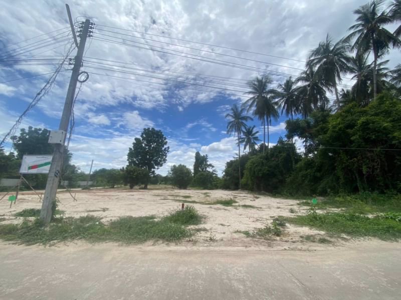 ขายที่ดินในชุมชนไม้งาม-เนื้อที่-150ตรว