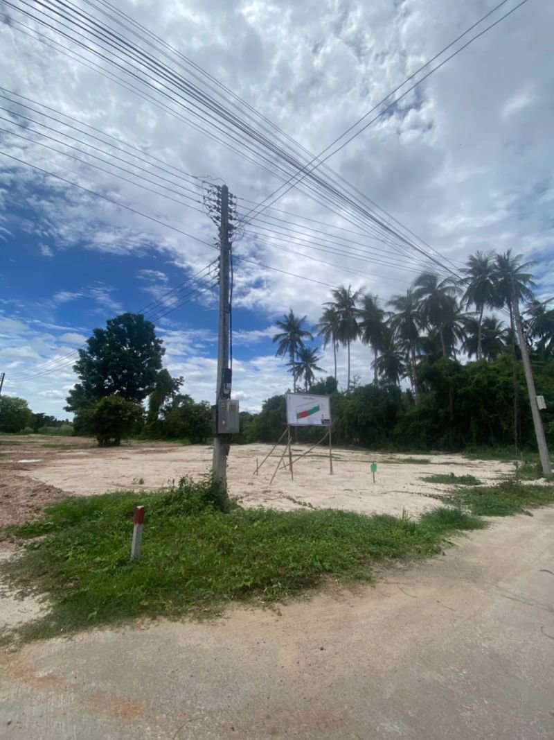 ขายที่ดินในชุมชนไม้งาม-เนื้อที่-150ตรว