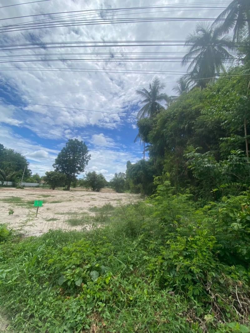 ขายที่ดินในชุมชนไม้งาม-เนื้อที่-150ตรว