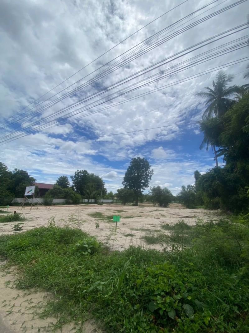 ขายที่ดินในชุมชนไม้งาม-เนื้อที่-150ตรว