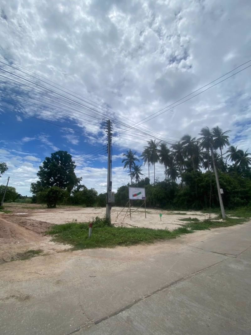 ขายที่ดินในชุมชนไม้งาม-เนื้อที่-150ตรว