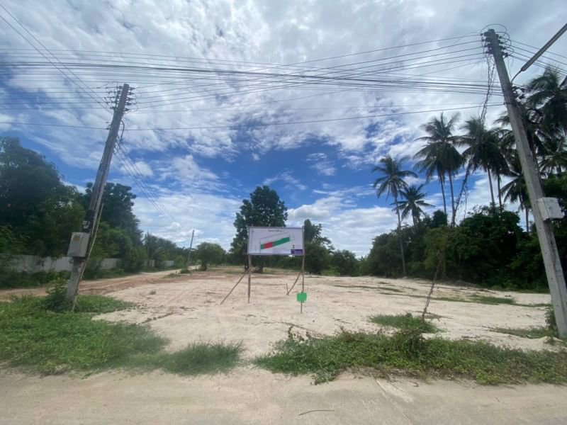 ขายที่ดินในชุมชนไม้งาม-เนื้อที่-150ตรว