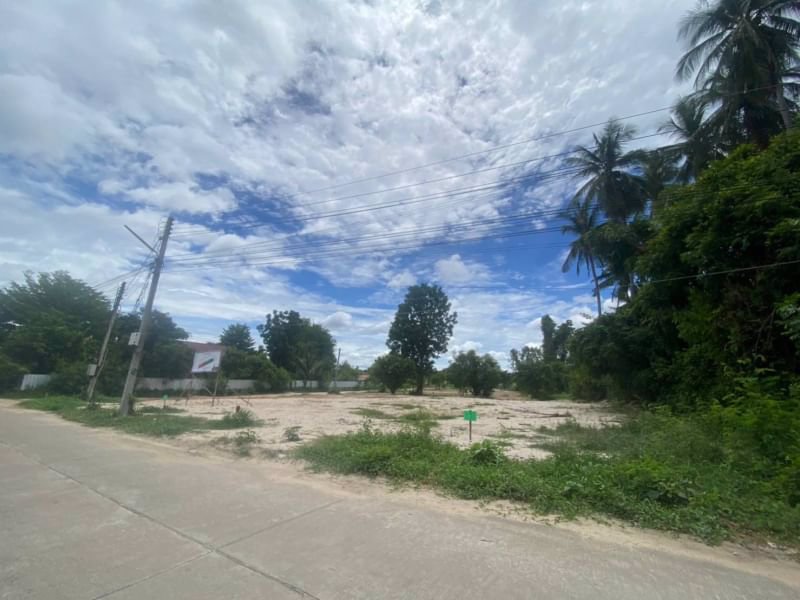 ขายที่ดินในชุมชนไม้งาม-เนื้อที่-150ตรว