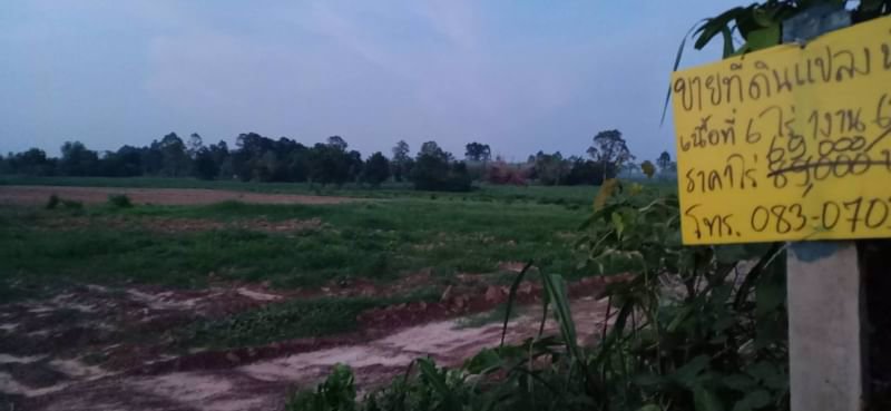 ขายที่ดินไร่ละ-69000บาท-โฉนด-ติดทางแดง