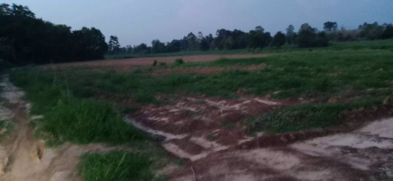 ขายที่ดินไร่ละ-69000บาท-โฉนด-ติดทางแดง