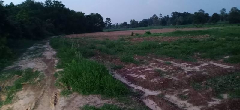 ขายที่ดินไร่ละ-69000บาท-โฉนด-ติดทางแดง