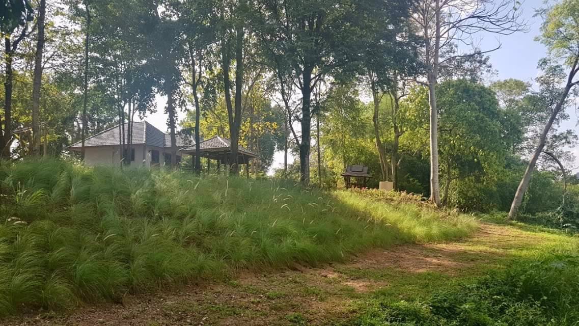 ประกาศขายที่ดิน-ติดแม่น้ำป่าสักพร้อมบ้านพักตากอากาศ-3-หลัง-ตกแต่งพร้อมอยู่