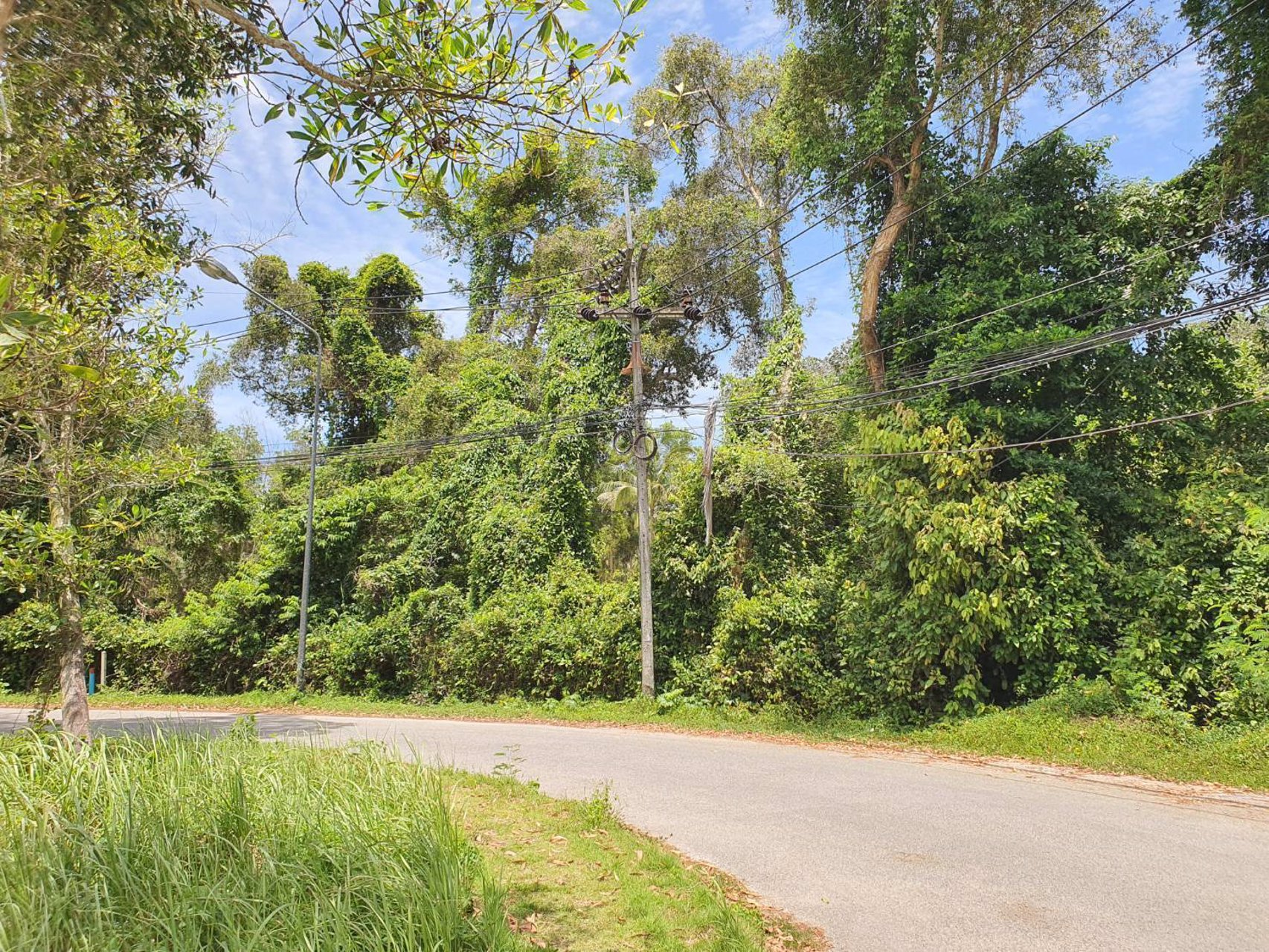 ขายที่ดิน-หาดไม้ขาว-เนื้อที่-31ไร่