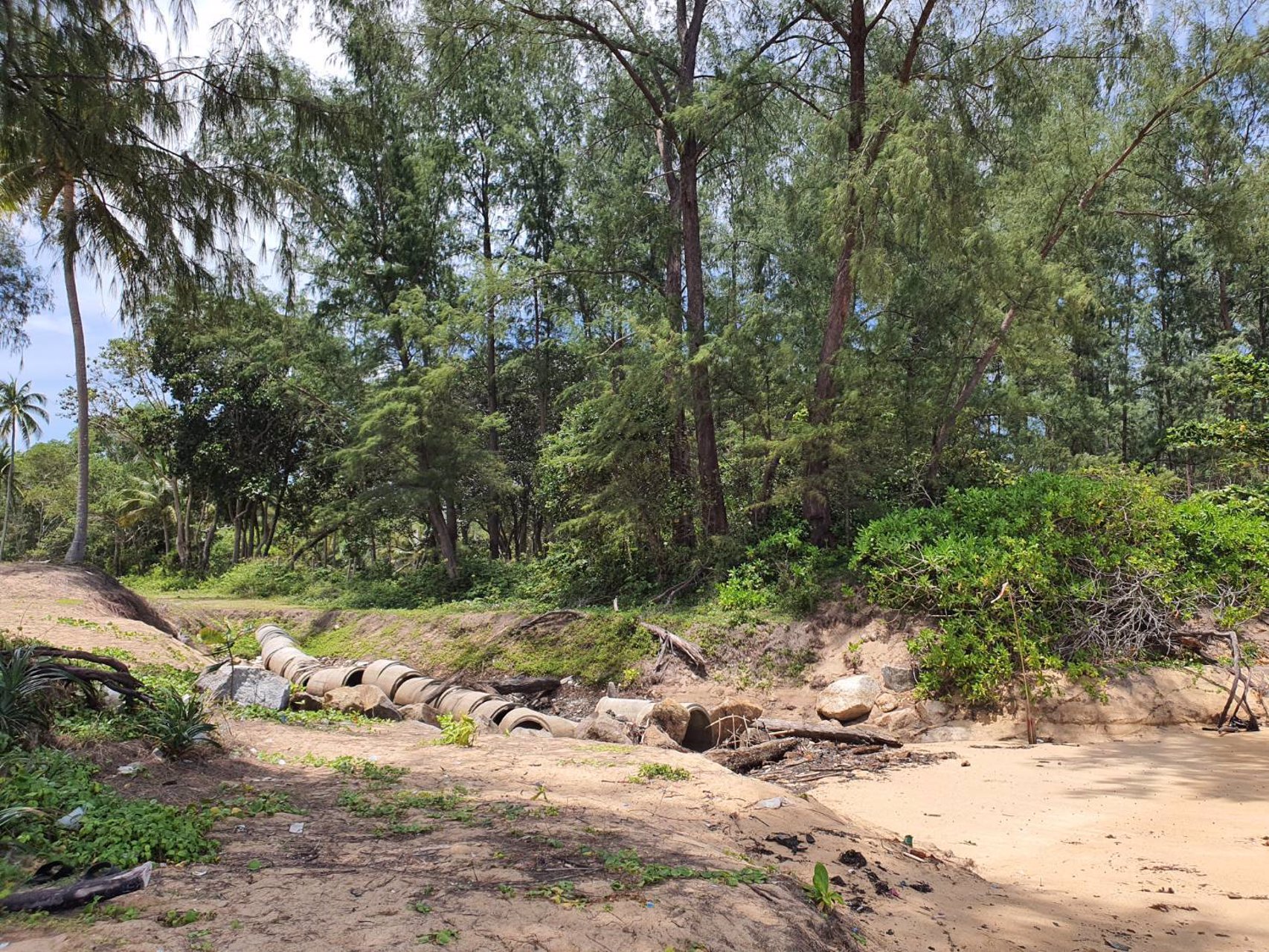 ขายที่ดิน-หาดไม้ขาว-เนื้อที่-31ไร่