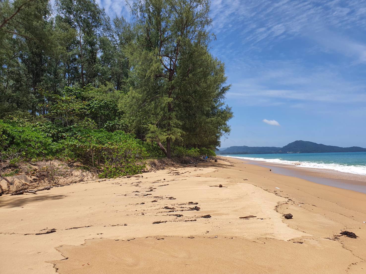 ขายที่ดิน-หาดไม้ขาว-เนื้อที่-31ไร่