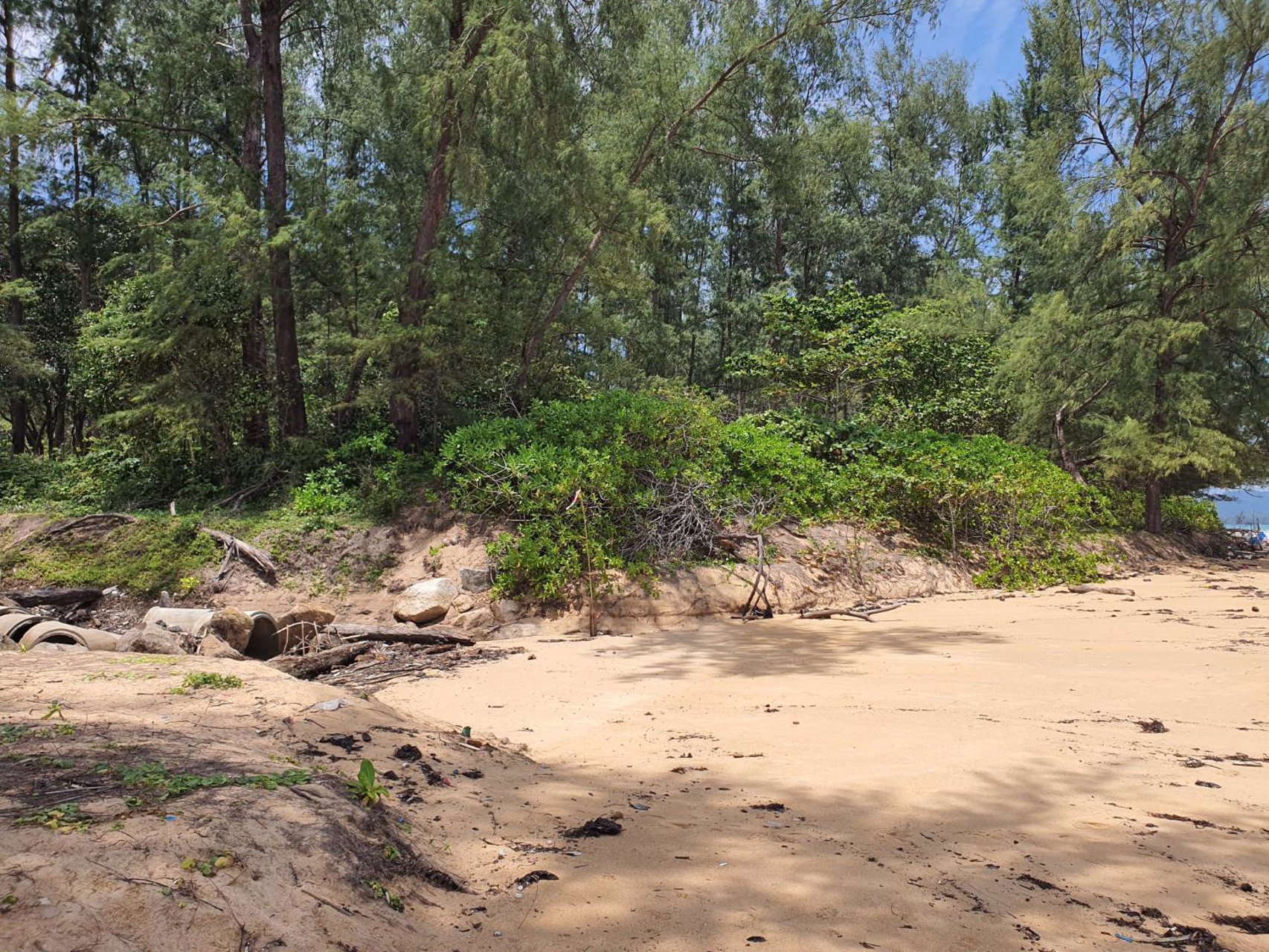 ขายที่ดิน-หาดไม้ขาว-เนื้อที่-31ไร่