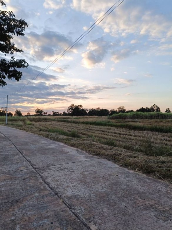 ขายที่ดิน-เนื้อที่100ตรว-ราคา99000บาท-ติดถนนคอนกรีต