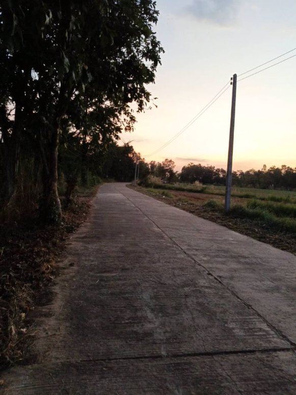 ขายที่ดิน-เนื้อที่100ตรว-ราคา99000บาท-ติดถนนคอนกรีต