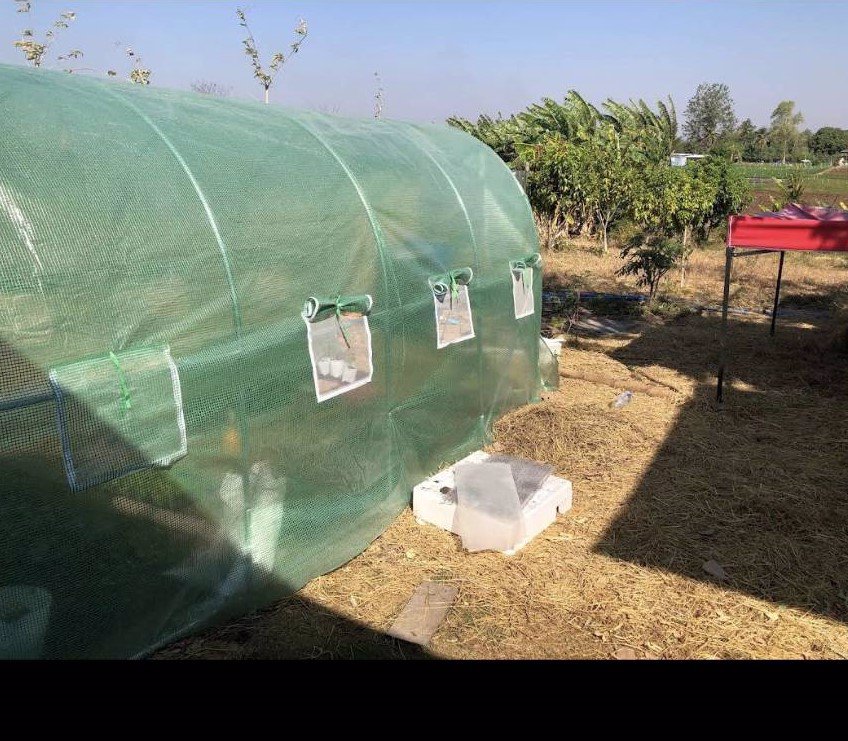 ขายสวน-พร้อมที่พัก-เฟอร์นิเจอร์-และโรงเรือน-บ้านสวนคุณไพ-จังหวัดสระบุรี-เจ้าของขายเอง