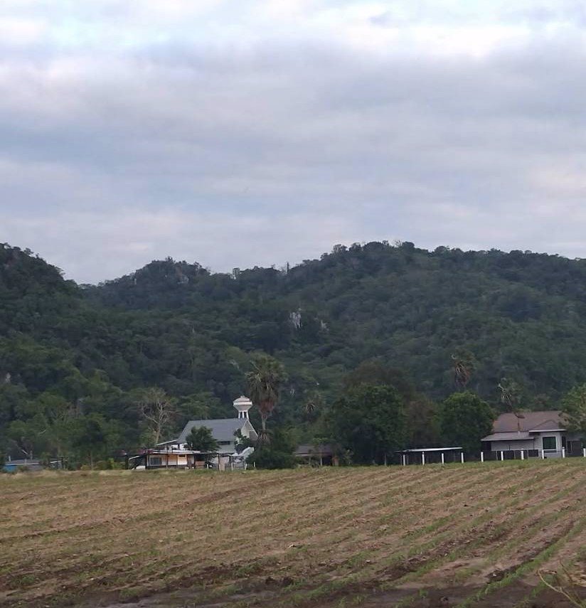 ขายสวน-พร้อมที่พัก-เฟอร์นิเจอร์-และโรงเรือน-บ้านสวนคุณไพ-จังหวัดสระบุรี-เจ้าของขายเอง