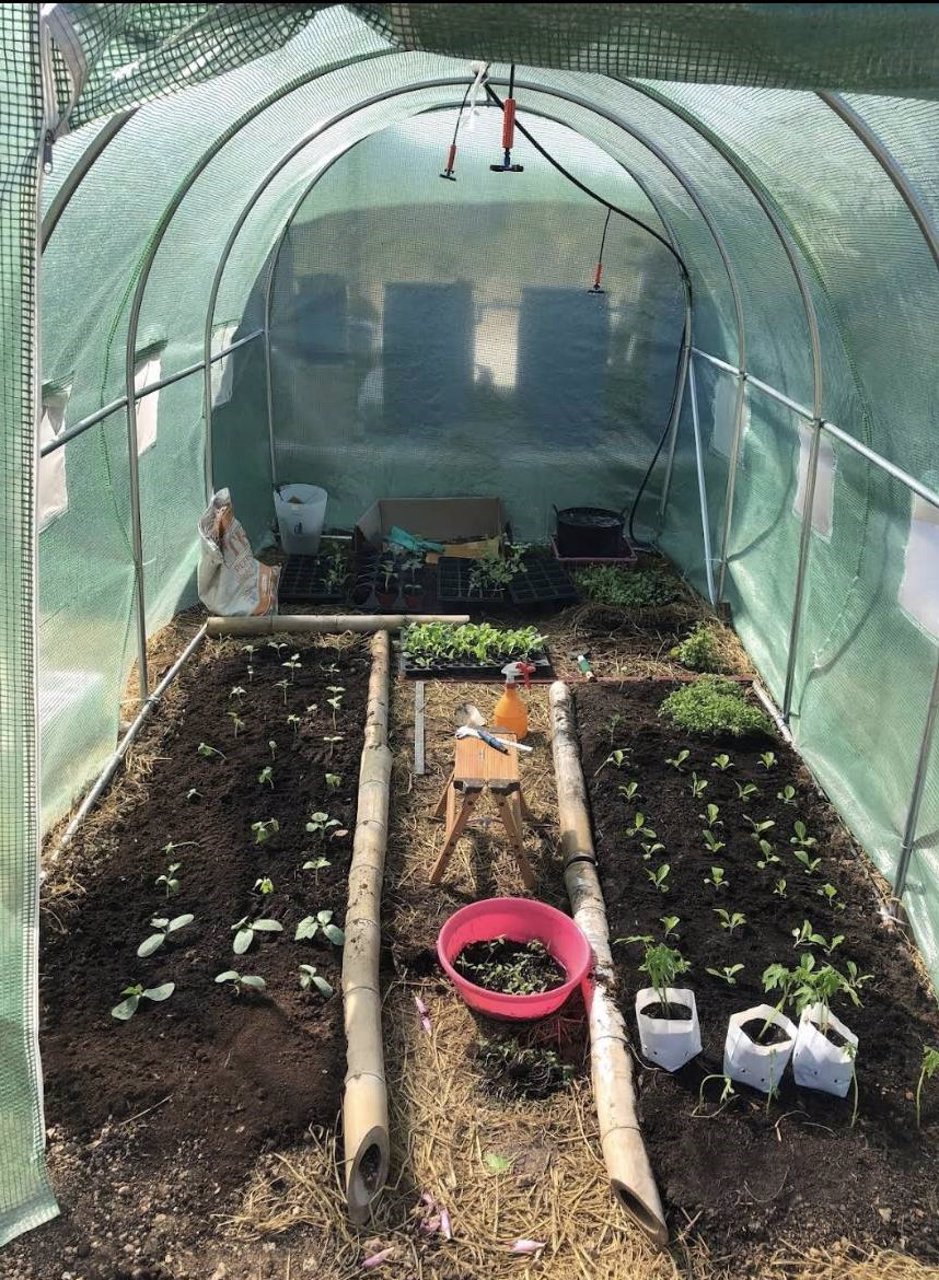 ขายสวน-พร้อมที่พัก-เฟอร์นิเจอร์-และโรงเรือน-บ้านสวนคุณไพ-จังหวัดสระบุรี-เจ้าของขายเอง